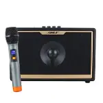 Shile SD-1 El Mikrofonlu Kumandalı USB/SD/BT Portatif Hoparlör-1