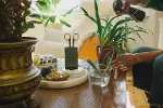 Urban Plant Care, tutuculu küçük bitki makası, oda bitkilerinde ince kesimler için, toplam uzunluk 1-4