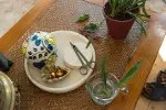 Urban Plant Care, tutuculu küçük bitki makası, oda bitkilerinde ince kesimler için, toplam uzunluk 1-6