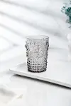 Akrilik Füme Tekli Kısa Bardak & Su Meşrubat Kahve Yanı Bardağı 400 ml ( Cam Değildir )-2