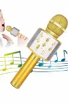 Karaoke Mikrofon Dahili Hoparlörlü Sd-usb-aux Girişli Bluetooth Hoparlör-4