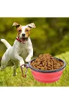Katlanabilir Kedi Köpek Mama ve Su Kabı Köpek Oyuncağı-1