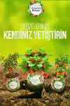 Konserve Bahçem Evde Konservede Dereotu Yetiştirme Kiti Aparatı-3