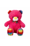 Oturan Kurdeleli Renkli Peluş Ayı 30 cm-3