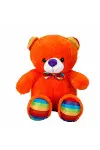 Oturan Kurdeleli Renkli Peluş Ayı 30 cm-4