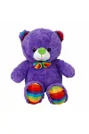 Oturan Kurdeleli Renkli Peluş Ayı 30 cm-5