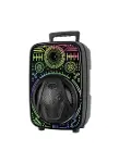 8 İnç Karaoke Hoparlör USB AUX FM Destekli Işıklı Speaker-5