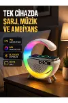 2025 Model 15W Kablosuz Şarjlı Renkli Atmosfer Lambası-1