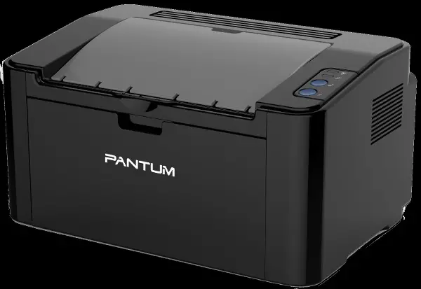 P2500W KABLOSUZ MONO LAZER YAZICI P2500W