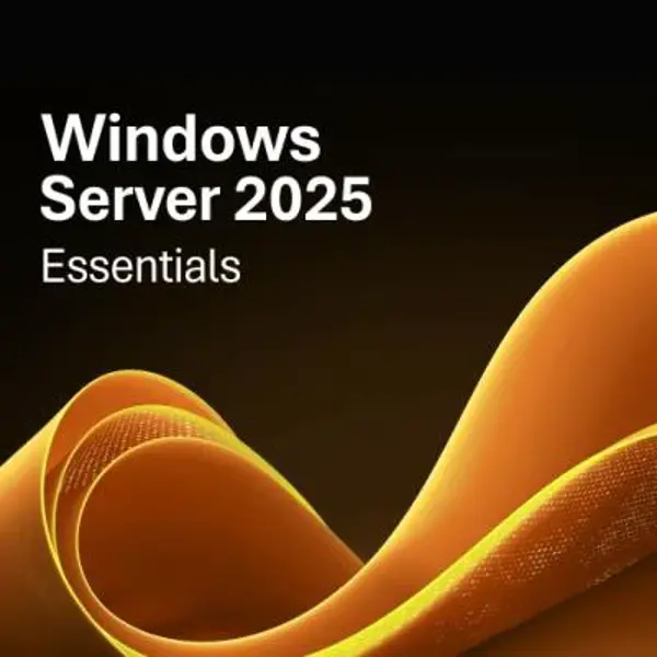 WINDOWS SERVER 2025 ESSENTIALS EDITION DELL SERVER YAZILIMI W2K25ESN-ROK
